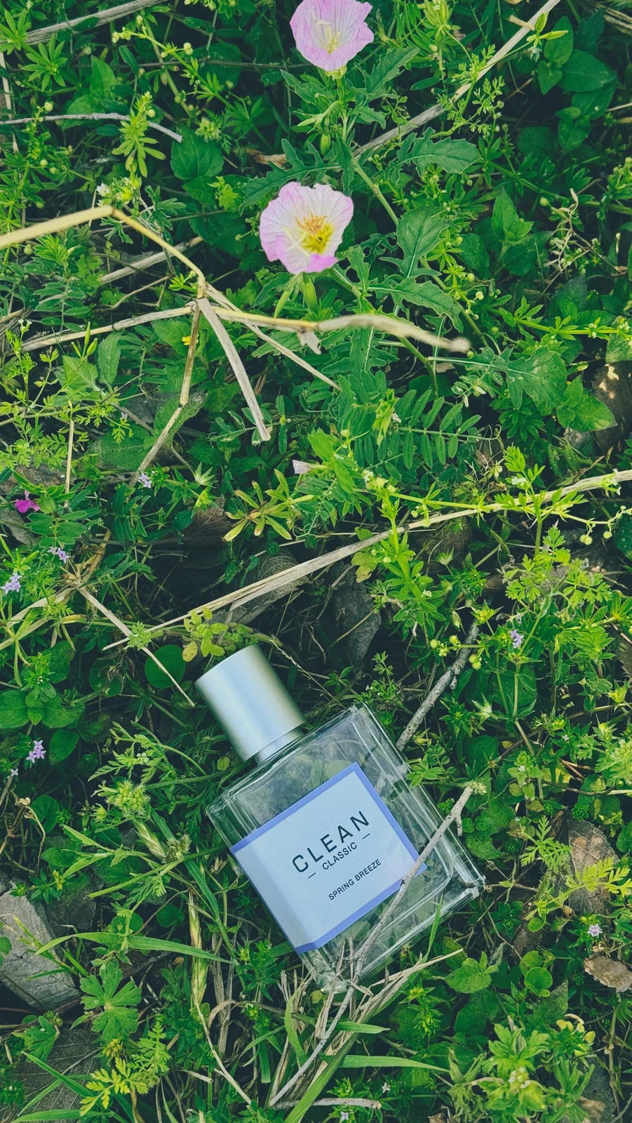 تصویر عطر اسپرینگ بریز کلین