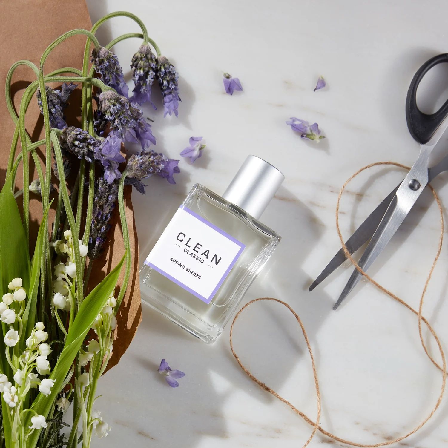 تصویر عطر اسپرینگ بریز کلین