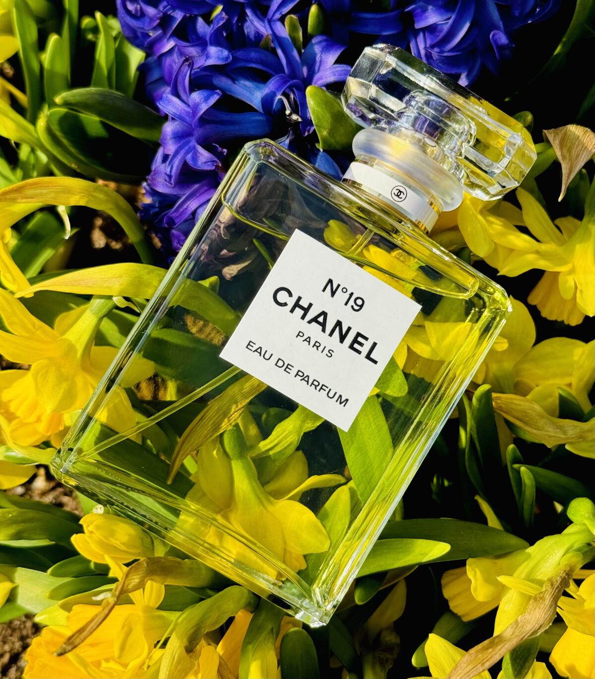 تصویر عطر چنل نامبر نوزده او دو پرفیوم شنل