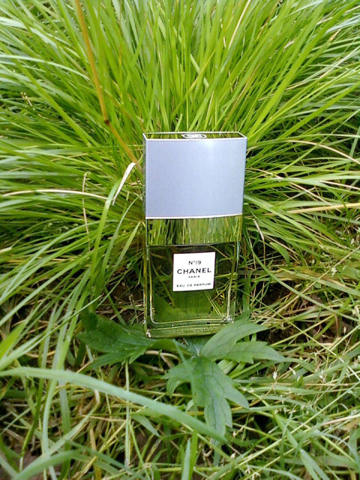 تصویر عطر چنل نامبر نوزده او دو پرفیوم شنل