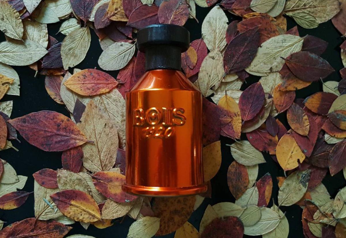 تصویر عطر ونتو نل ونتو بویز ۱۹۲۰