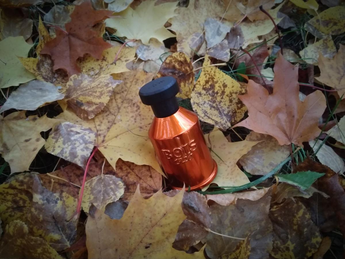 تصویر عطر ونتو نل ونتو بویز ۱۹۲۰
