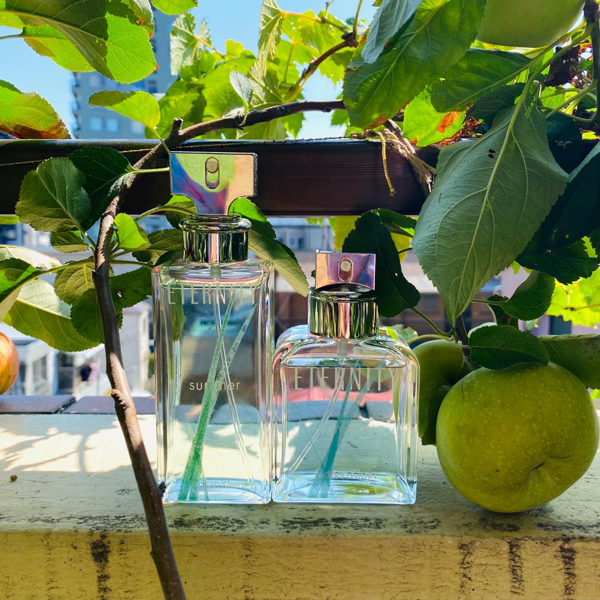 تصویر عطر ایتِرنیتی سامِر کالوین کلین