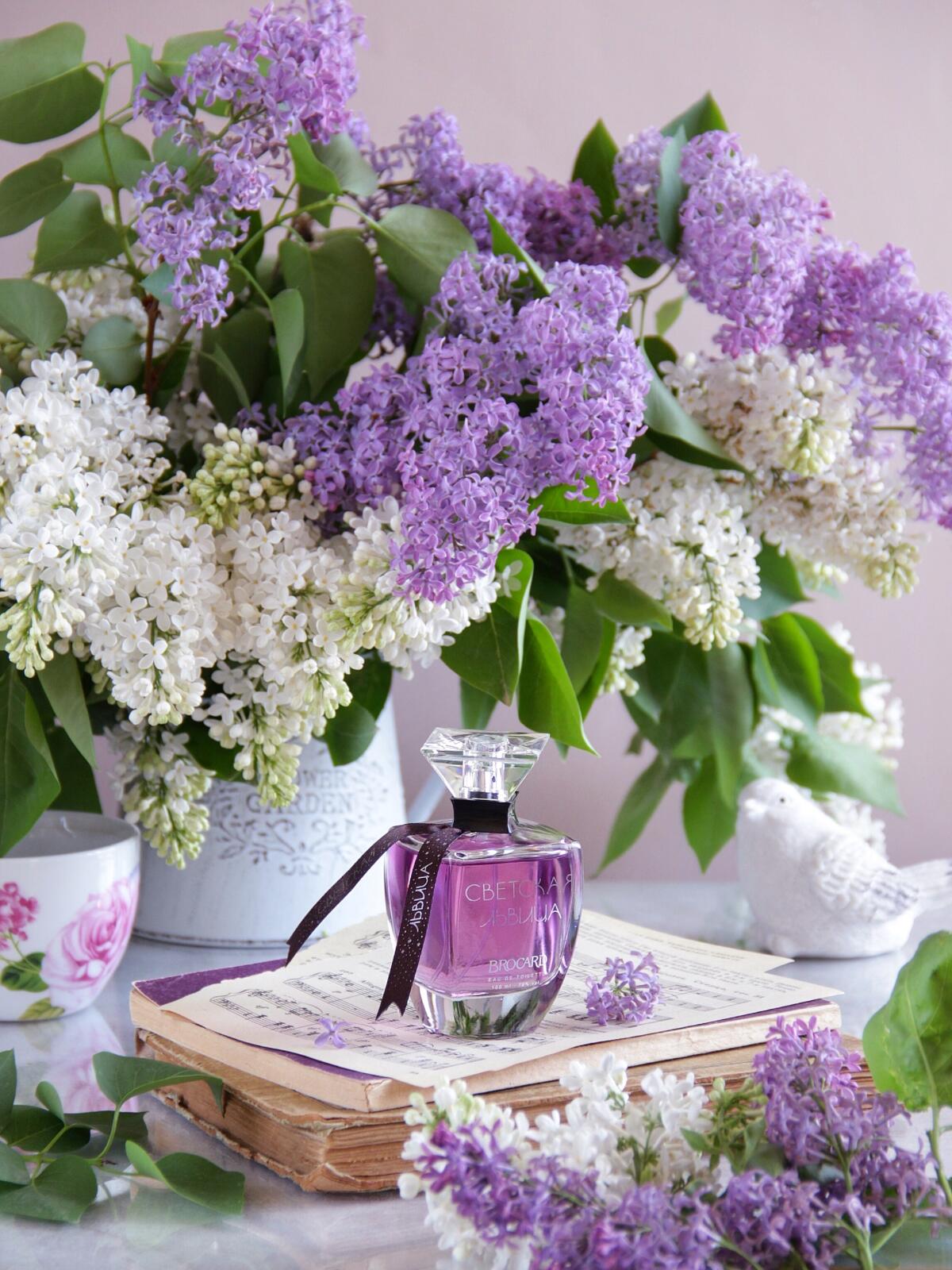 تصویر عطر سوِتسکایا لوویتسا بروکارد
