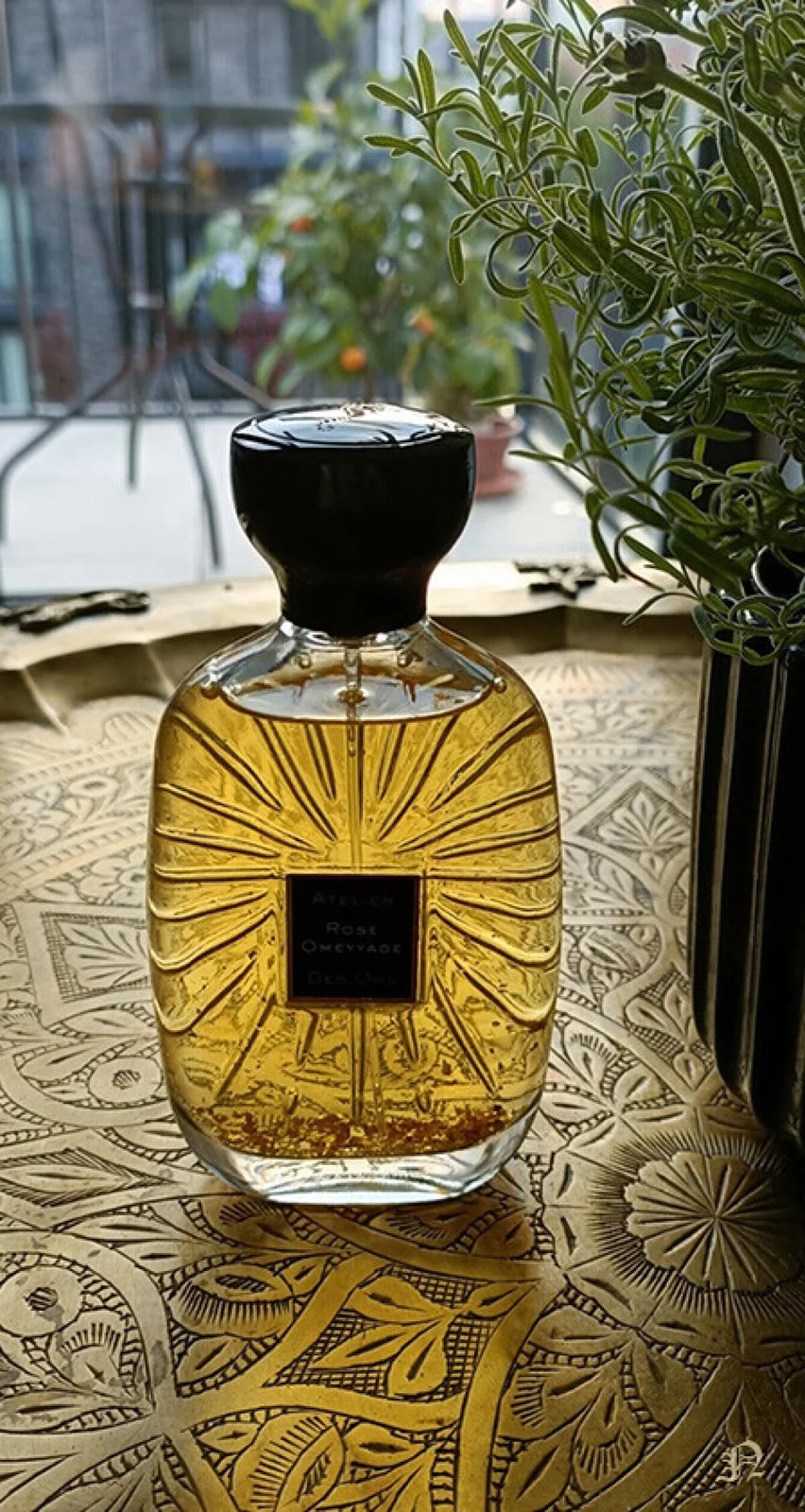 تصویر عطر رز امیه آتلیه دز اور