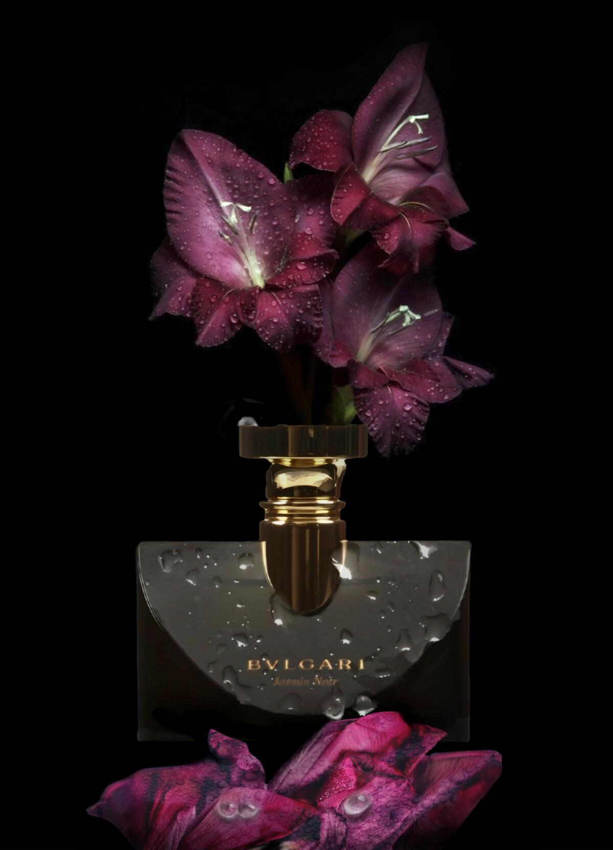 تصویر عطر ژَسمین نوآر بولگاری