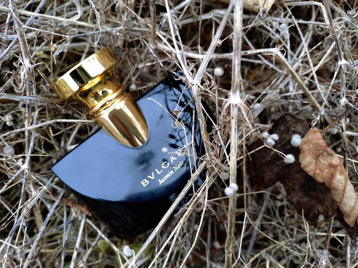 تصویر عطر ژَسمین نوآر بولگاری