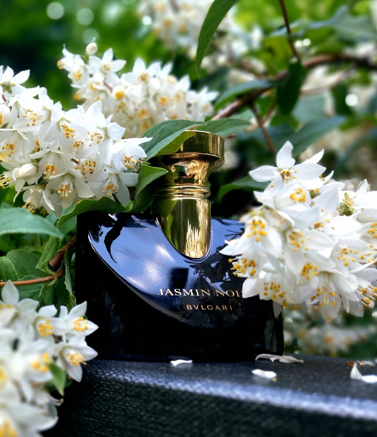 تصویر عطر ژَسمین نوآر بولگاری