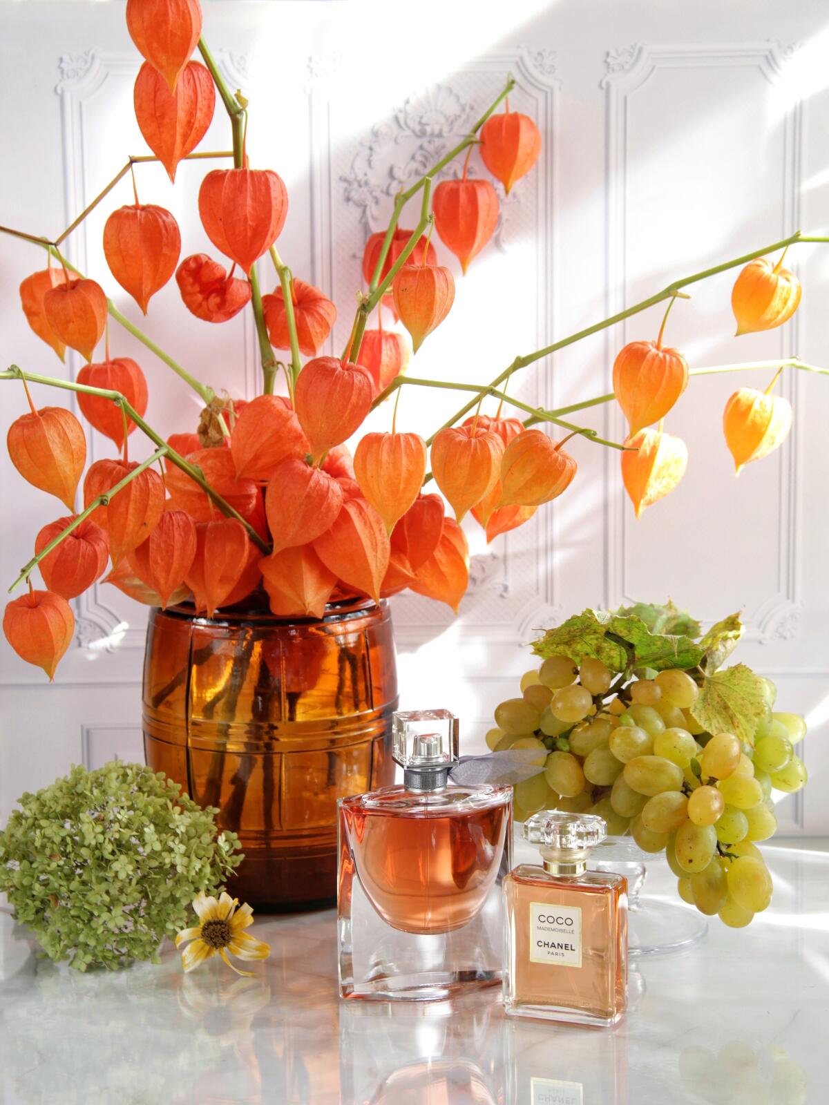 تصویر عطر کوکو مادمازل اینتنس شنل