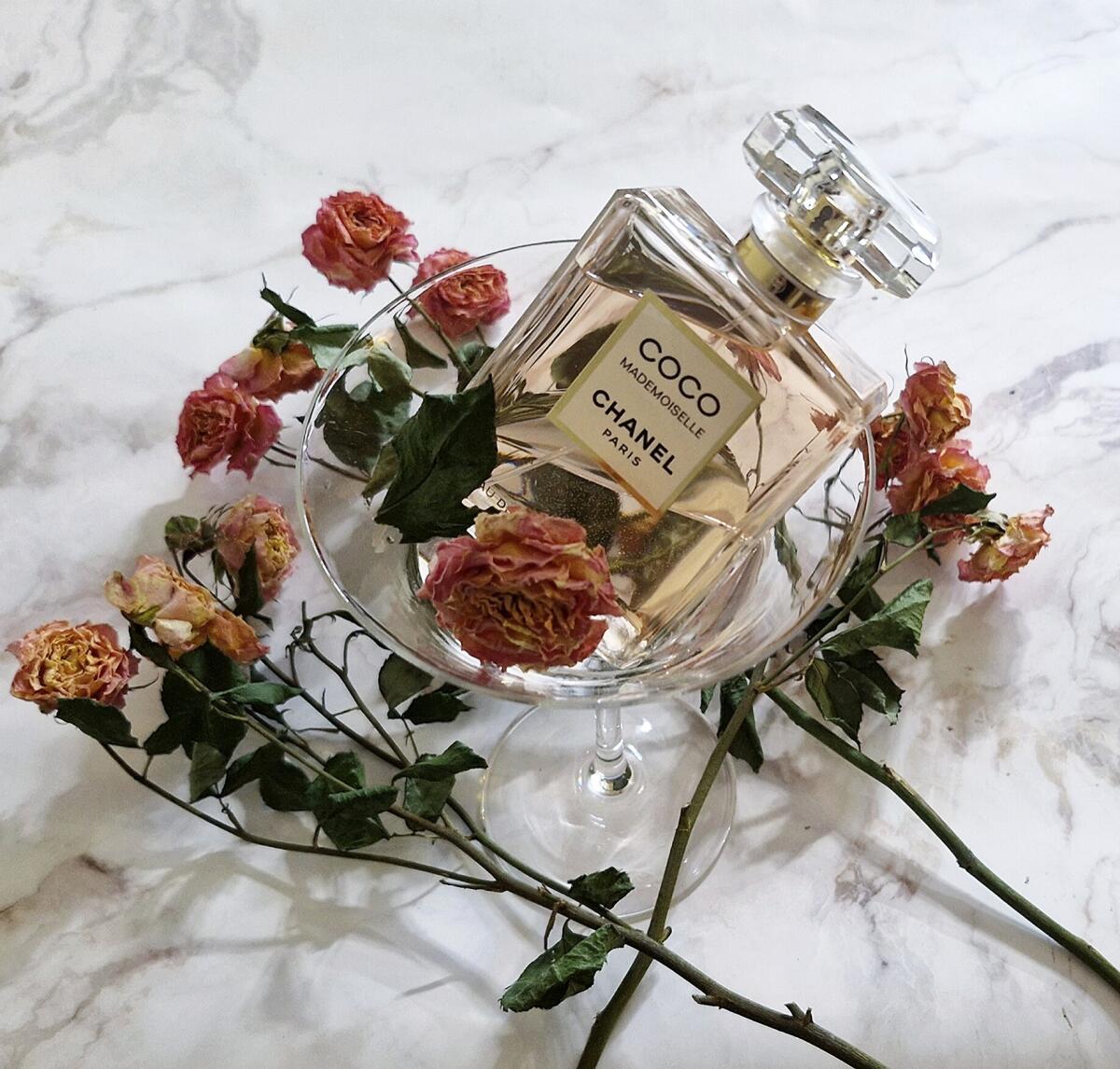 تصویر عطر کوکو مادمازل اینتنس شنل