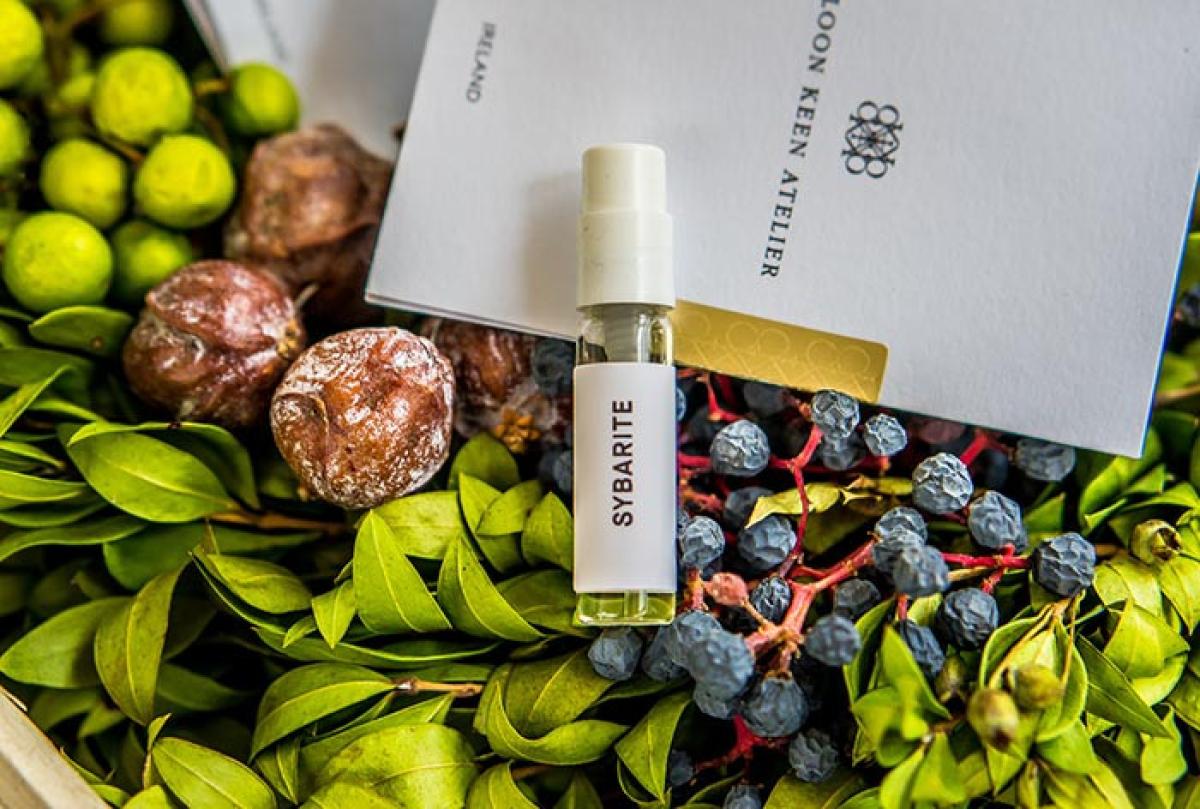 تصویر عطر لوناسا کلون کین آتلیه