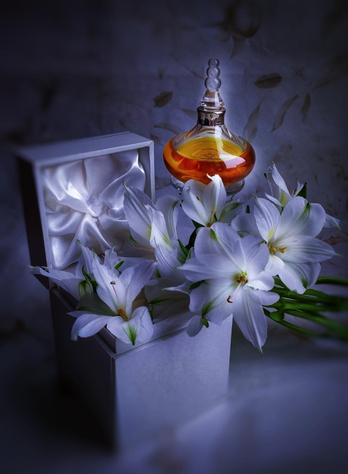تصویر عطر اُ دو آمواژ