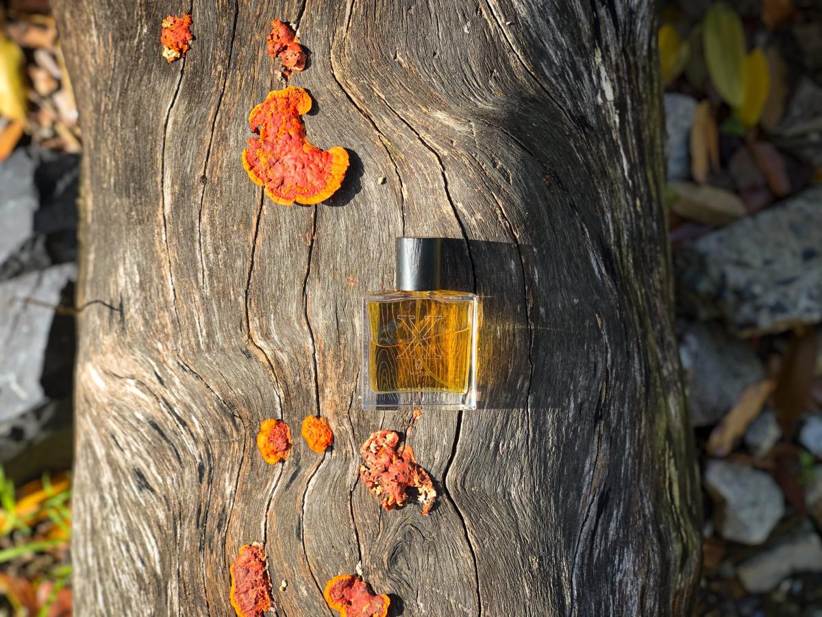 تصویر عطر ایل دیچی ایکس بوگ