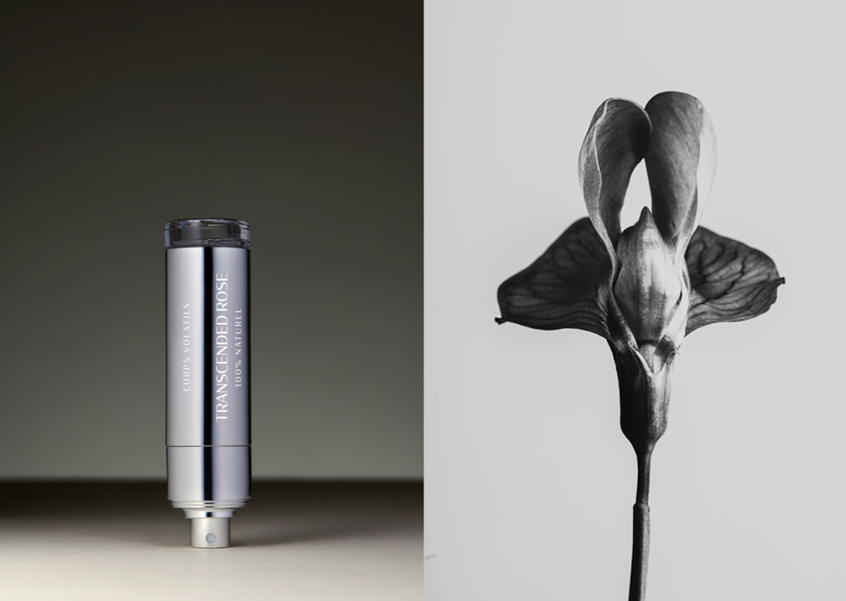 تصویر عطر ترنسندید روز کور وولتیل