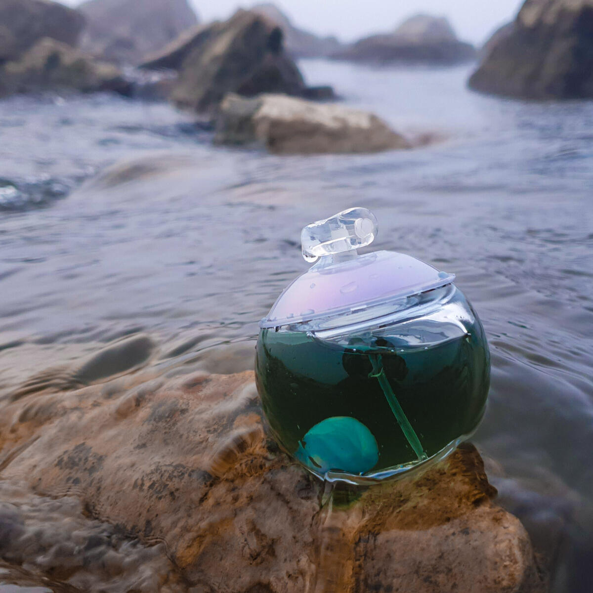 تصویر عطر نوا پرل کاشارل