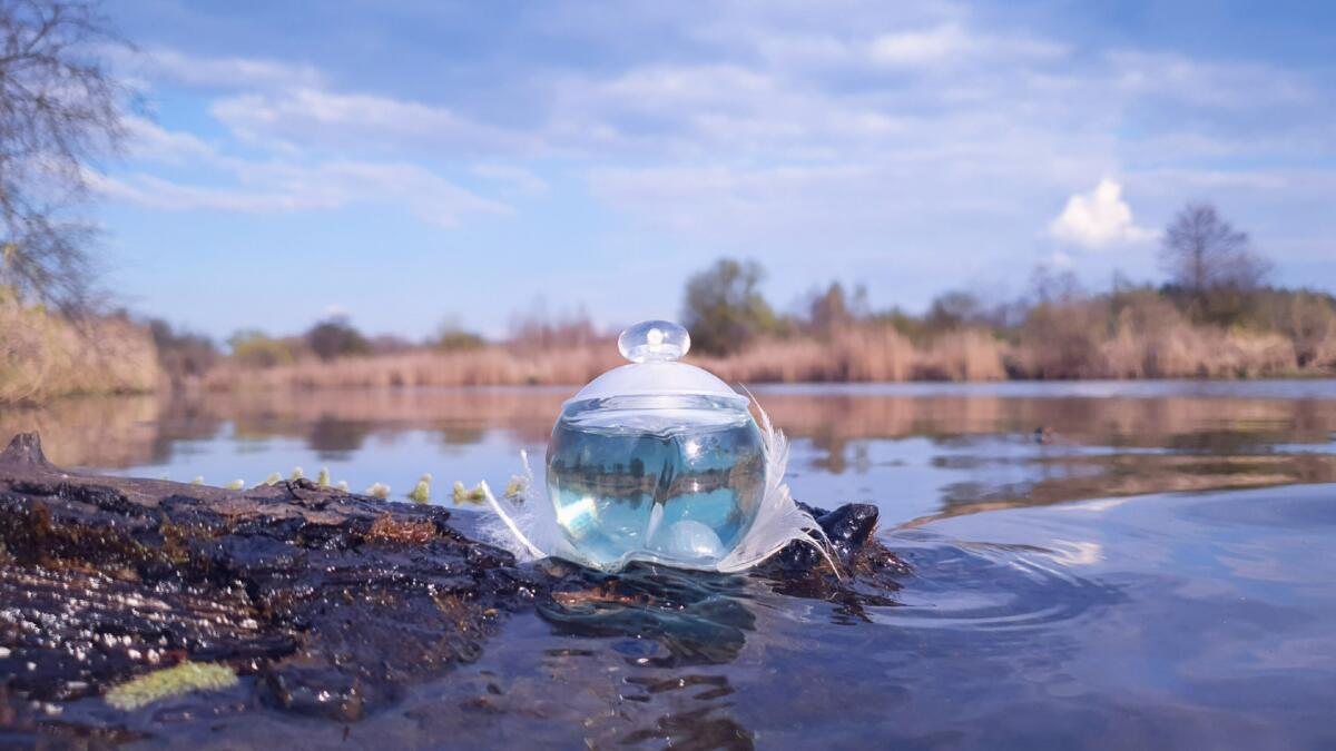 تصویر عطر نوا پرل کاشارل