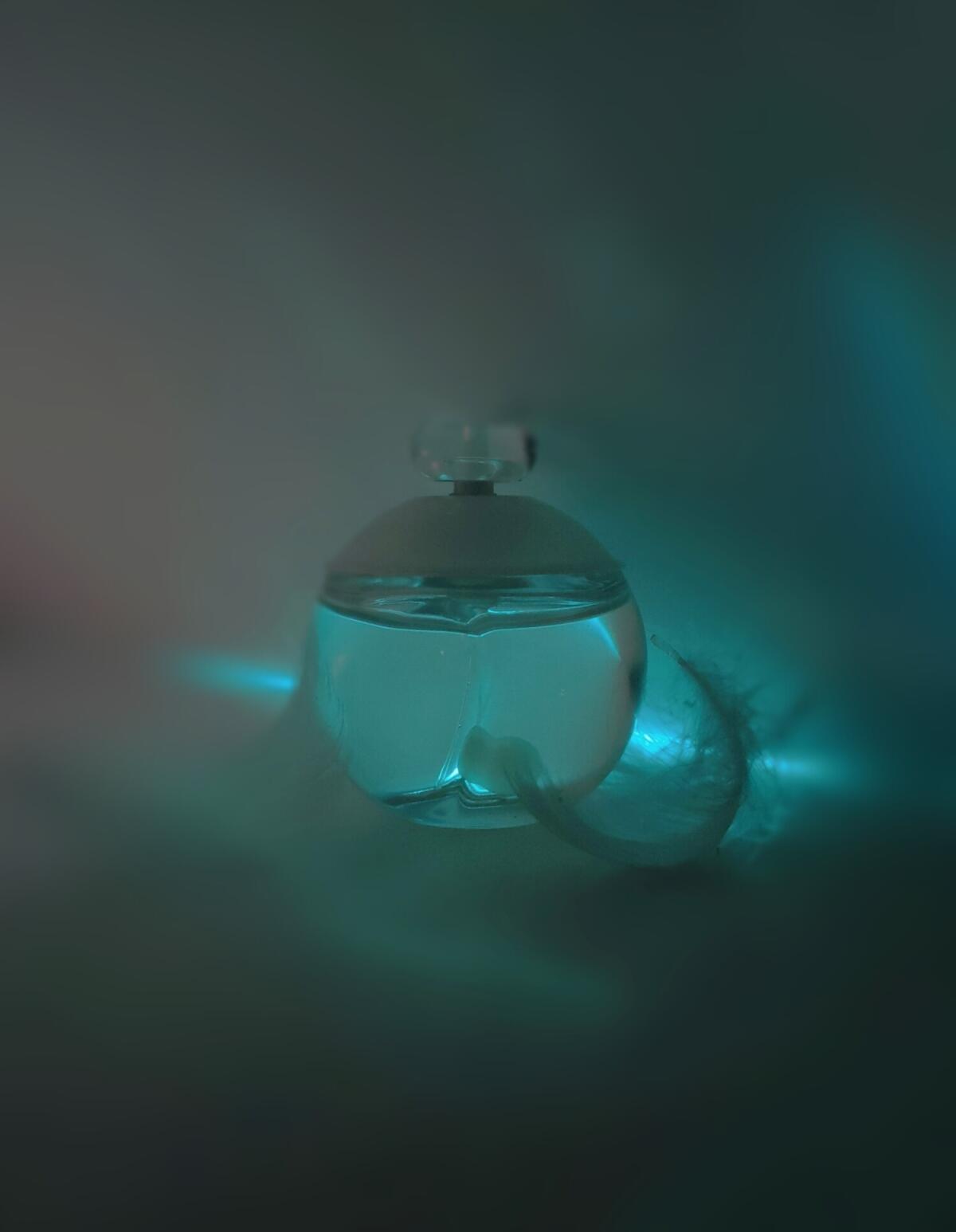 تصویر عطر نوا پرل کاشارل