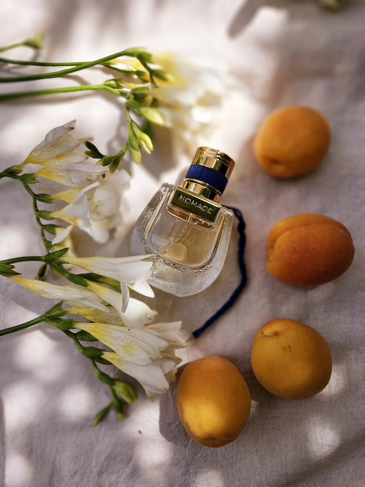 تصویر عطر نومَد نویی دِ اِگیپت کلوئه