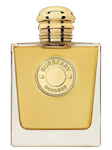 تصویر عطر گادس اینتنس بربری