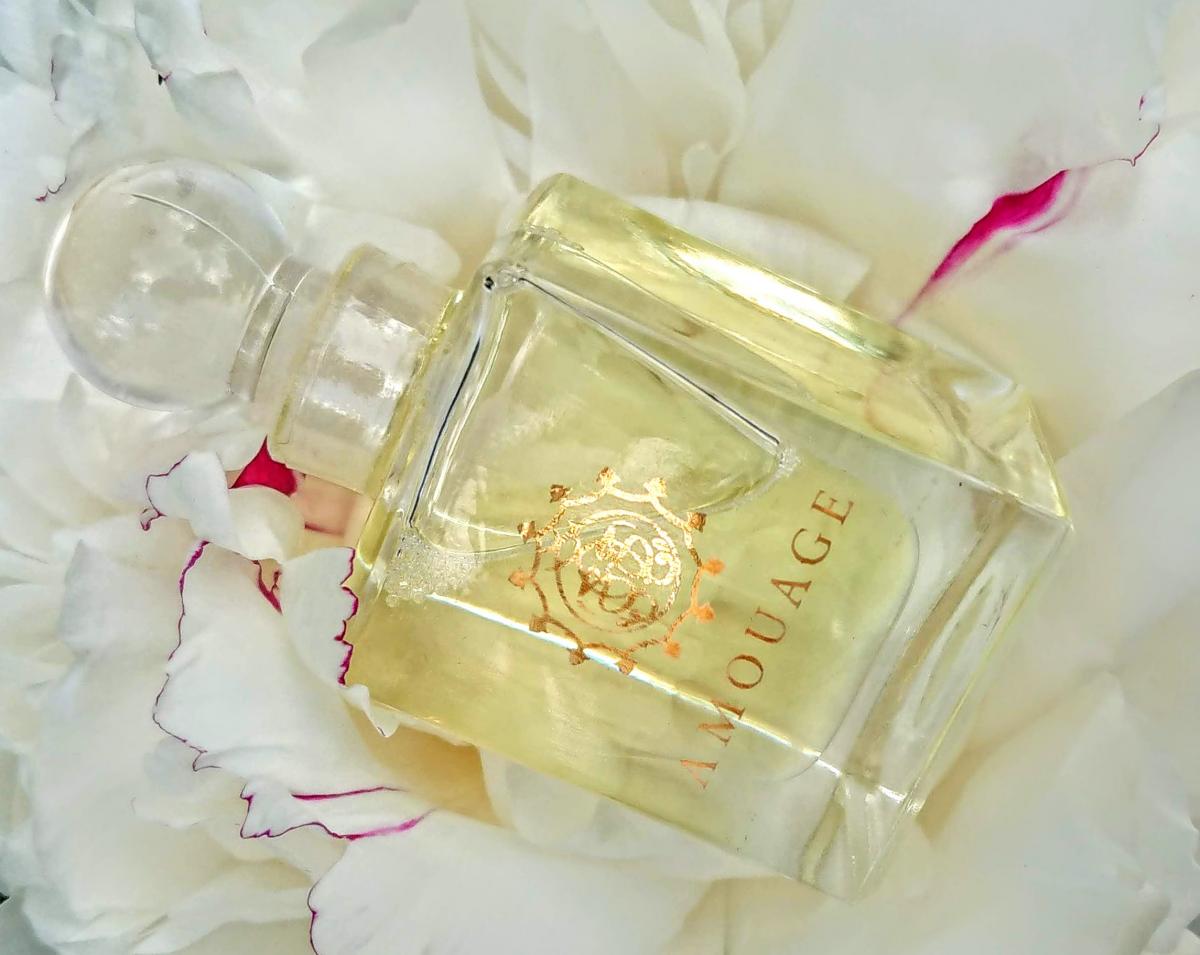 تصویر عطر طیبه آمواژ