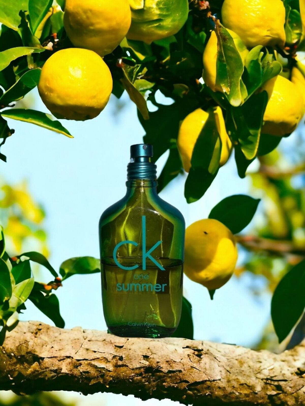 تصویر عطر سی کی وان سامر ۲۰۱۴ کالوین کلین