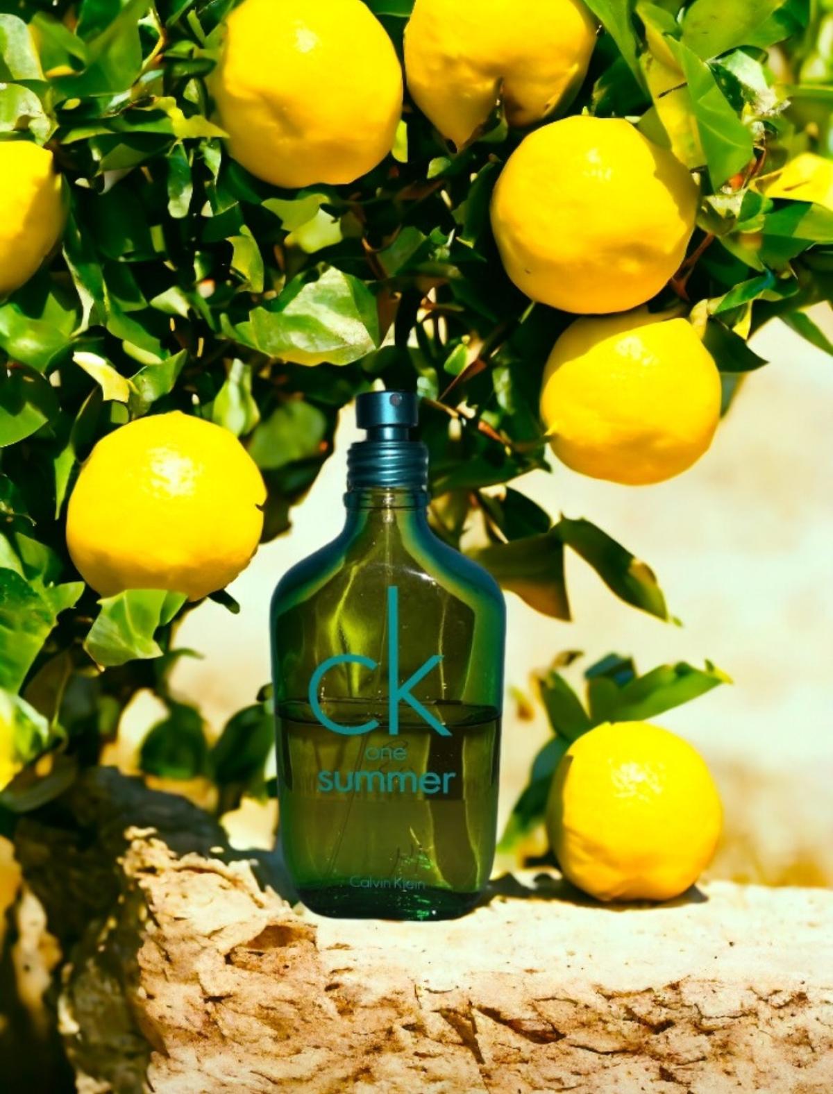 تصویر عطر سی کی وان سامر ۲۰۱۴ کالوین کلین
