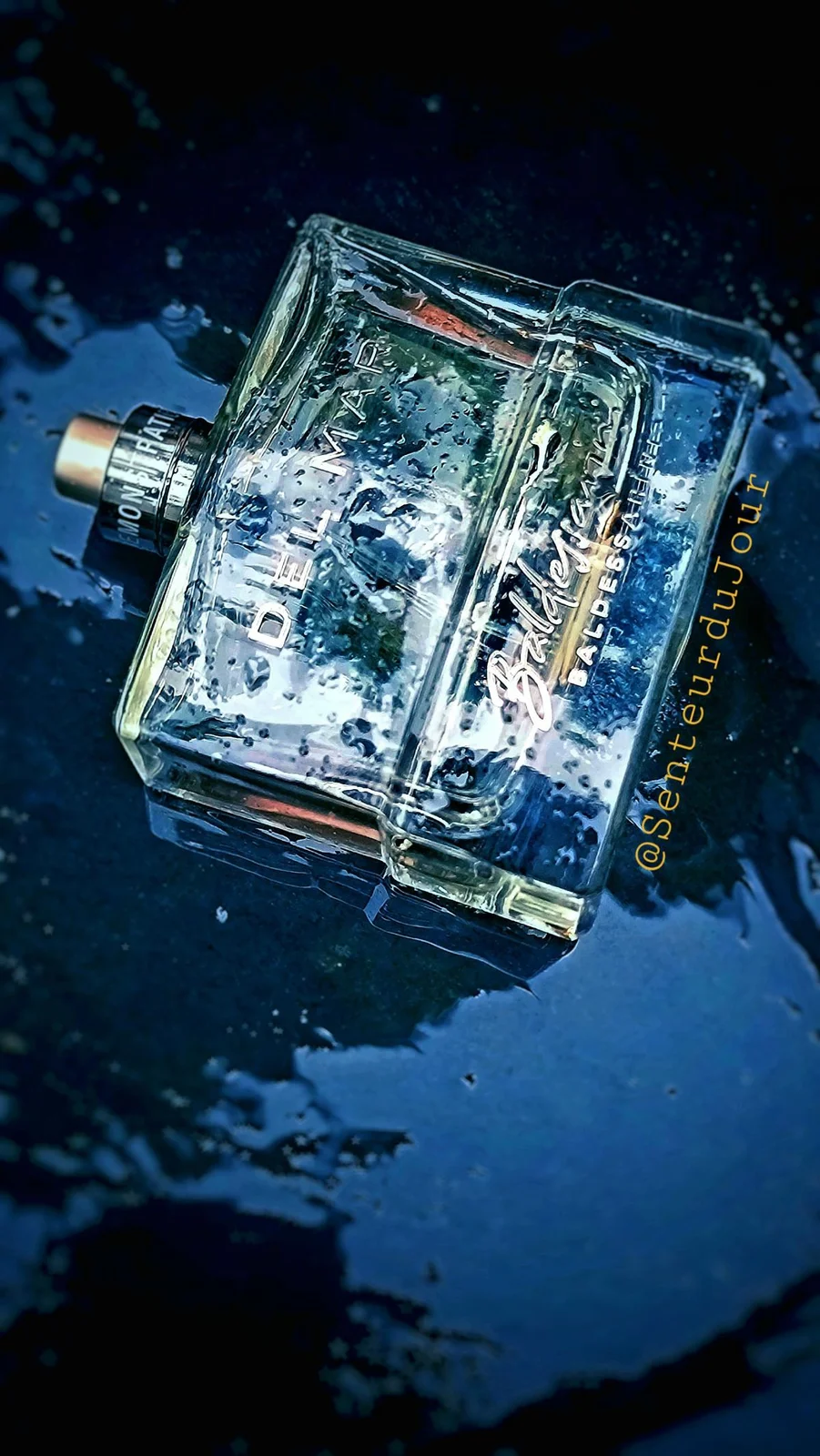 تصویر عطر دل مار بالدسارینی