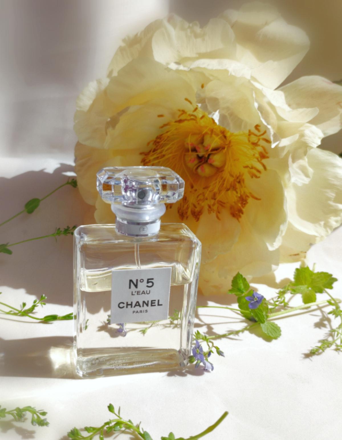 تصویر عطر شنل نامبر فایو لئو ادو تویلت ۱۰۰ث انیورسری – اسک فور د مون لیمیتد ادیشن