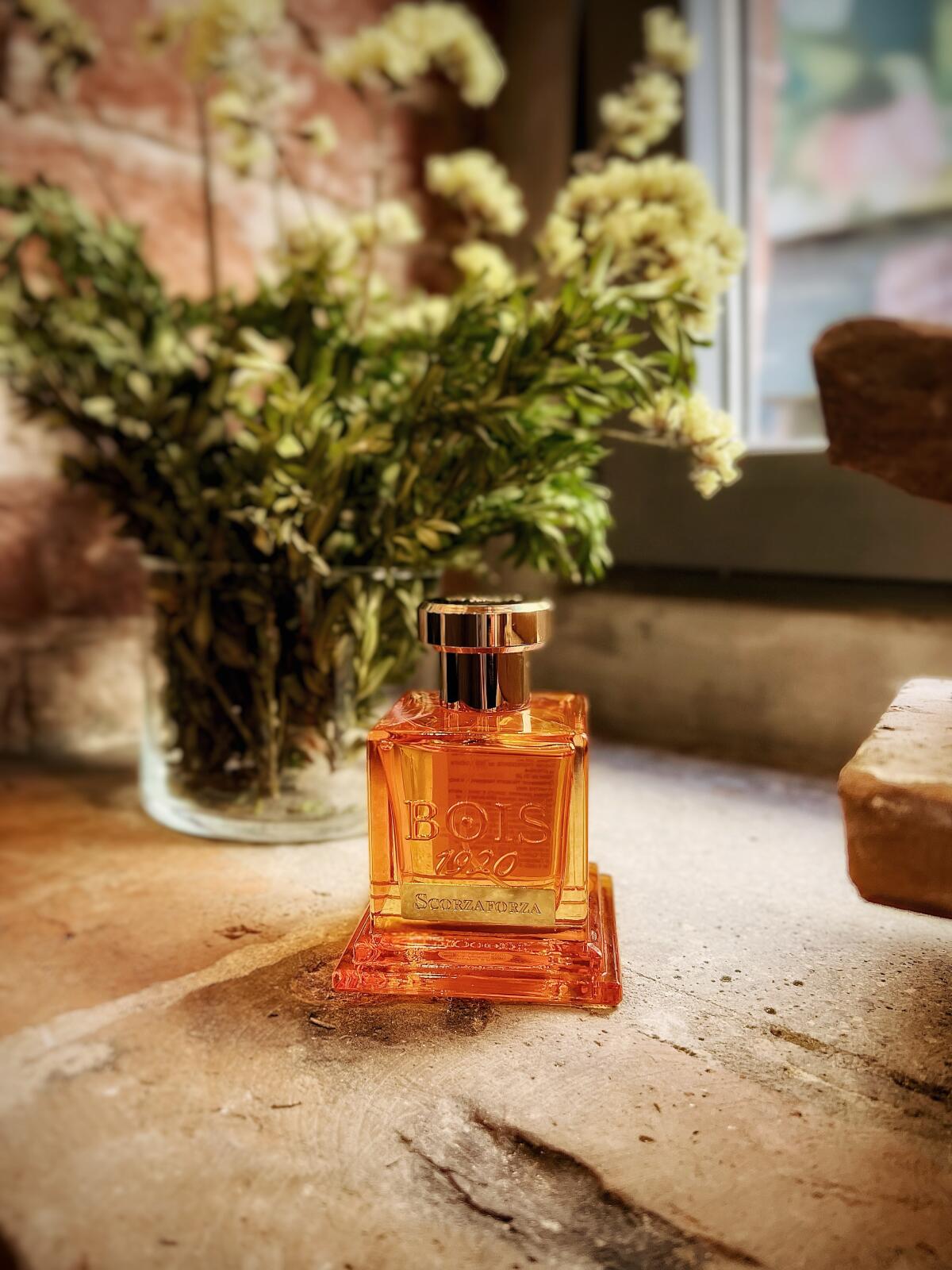 تصویر عطر ساندلویا بویز ۱۹۲۰