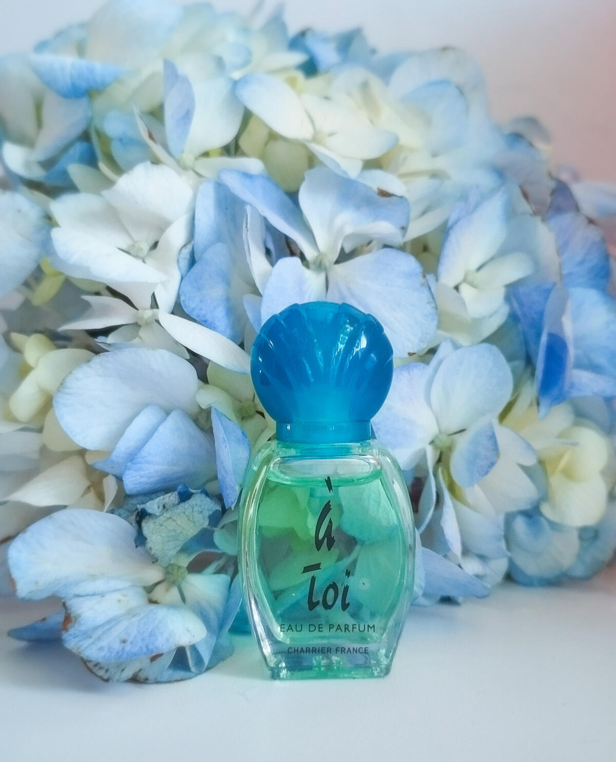 تصویر عطر ا توآ شاریه پرفیومز