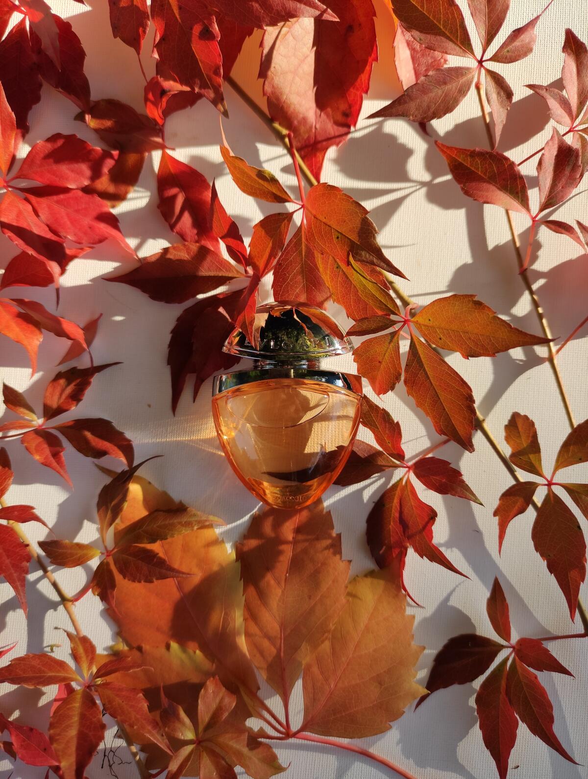 تصویر عطر امنیای ایندیَن گارنت بولگاری