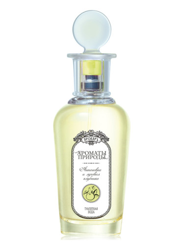 تصویر عطر آنتونوکا و ویلد استرابری بروکارد