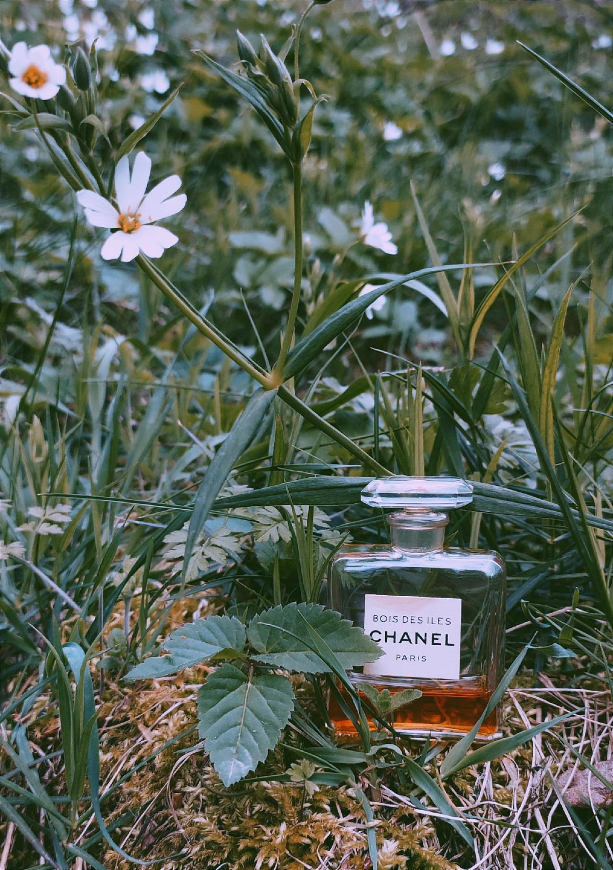 تصویر عطر بوا دزیل پارفوم شنل