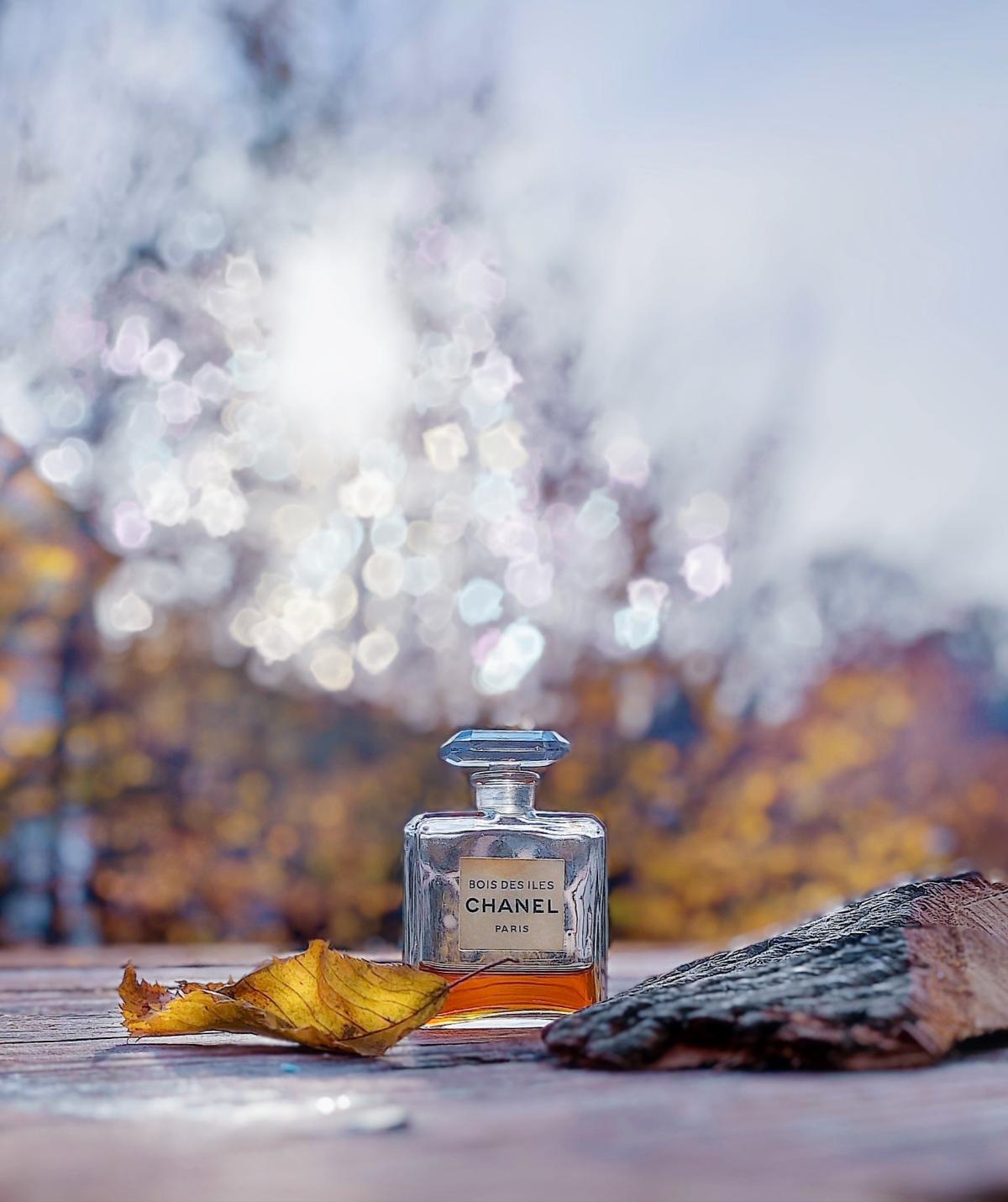 تصویر عطر بوا دزیل پارفوم شنل