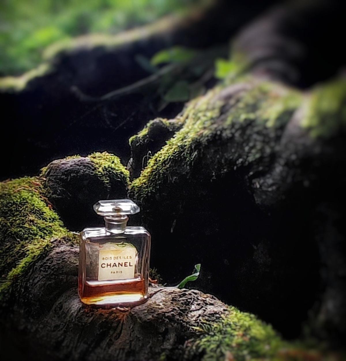 تصویر عطر بوا دزیل پارفوم شنل