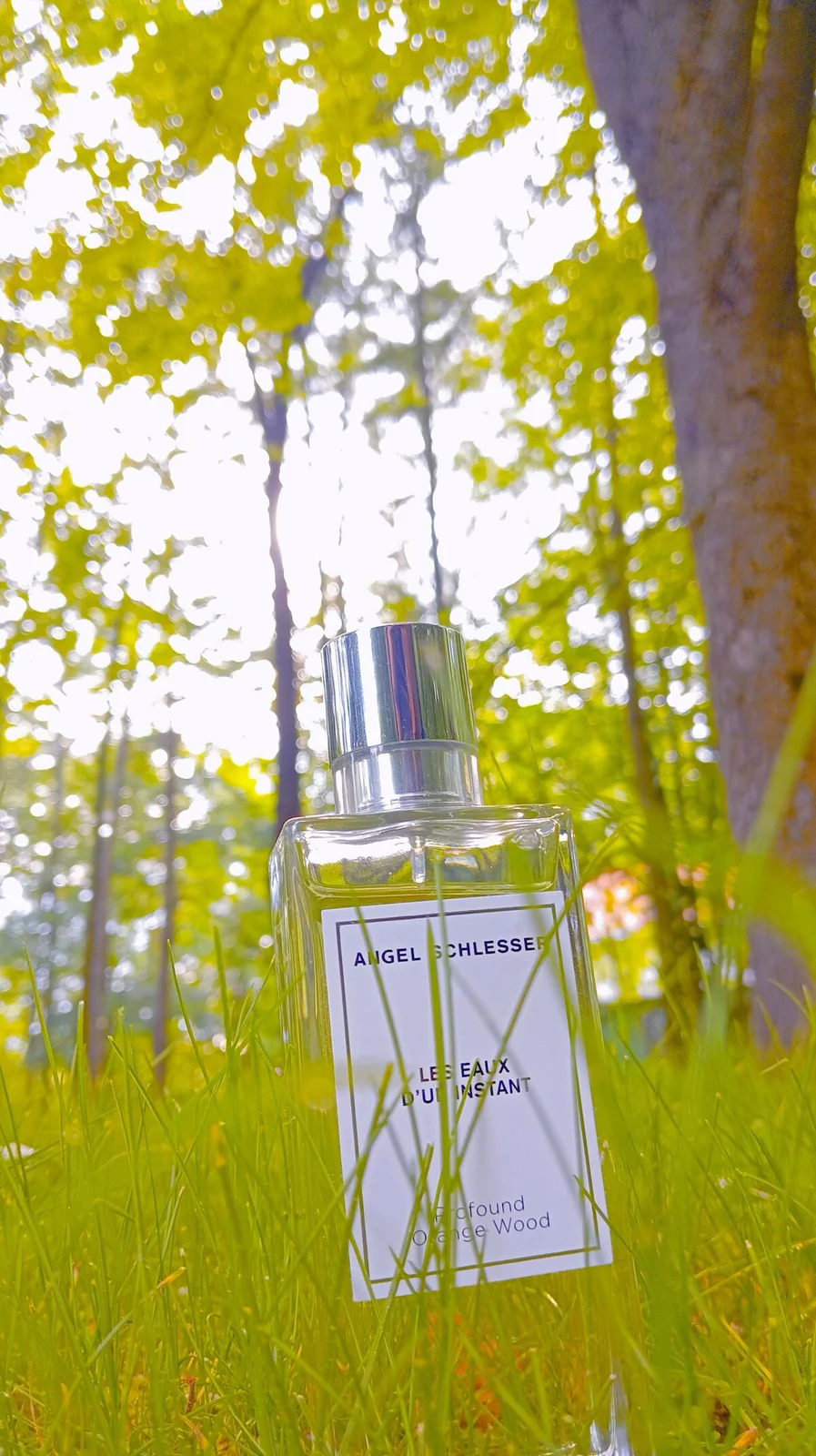 تصویر عطر پروفاند اورنج وود آنخل شلسر