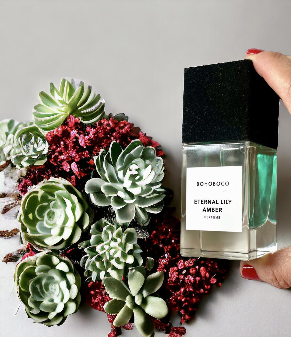 تصویر عطر اترنال لیلی امبر بوهوبوکو