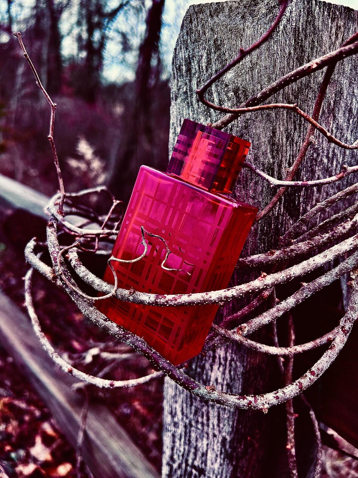 تصویر عطر بربری بریت رد