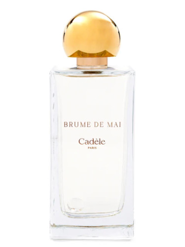 تصویر عطر بروم دو مای کادل پاریس