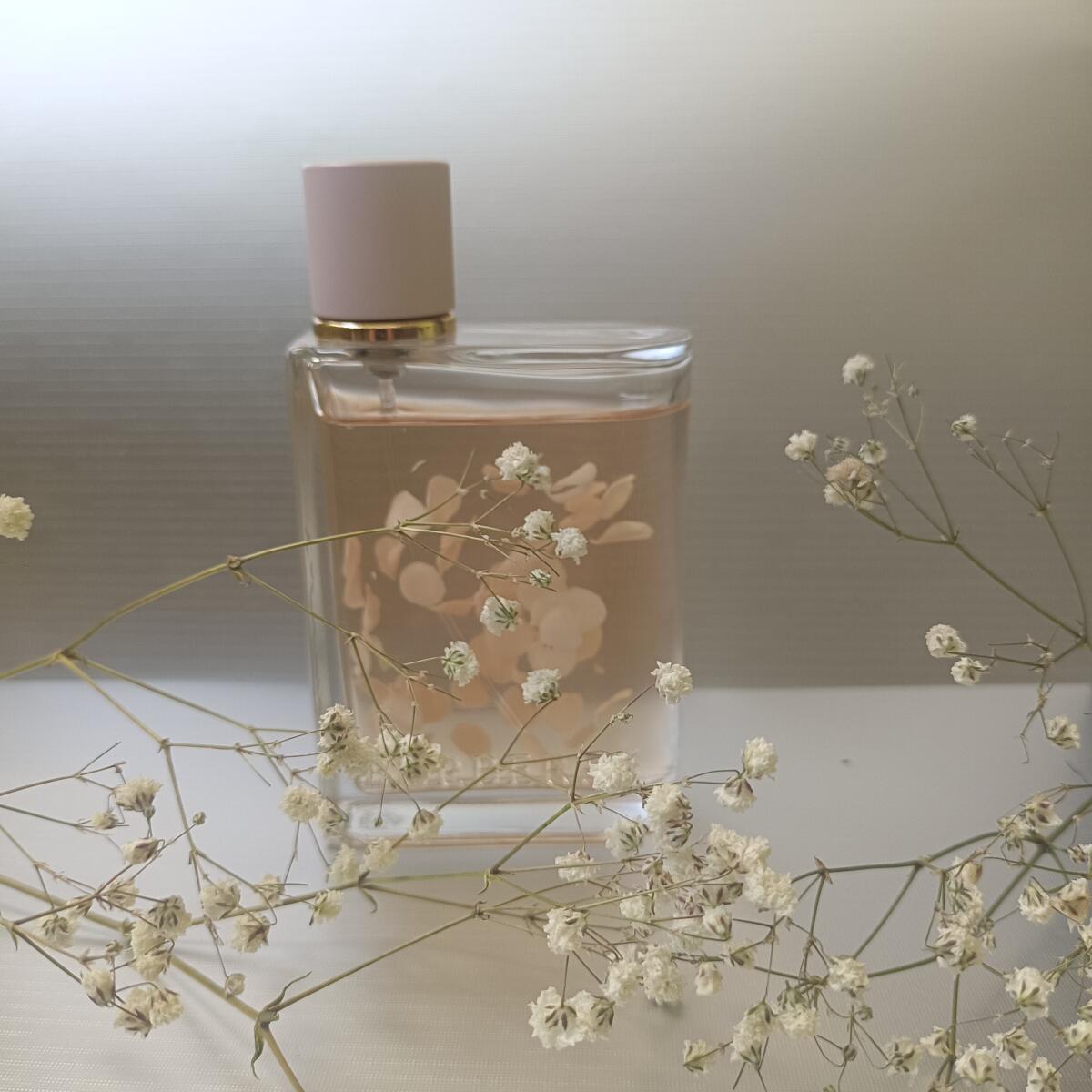 تصویر عطر بربری هر پتلز