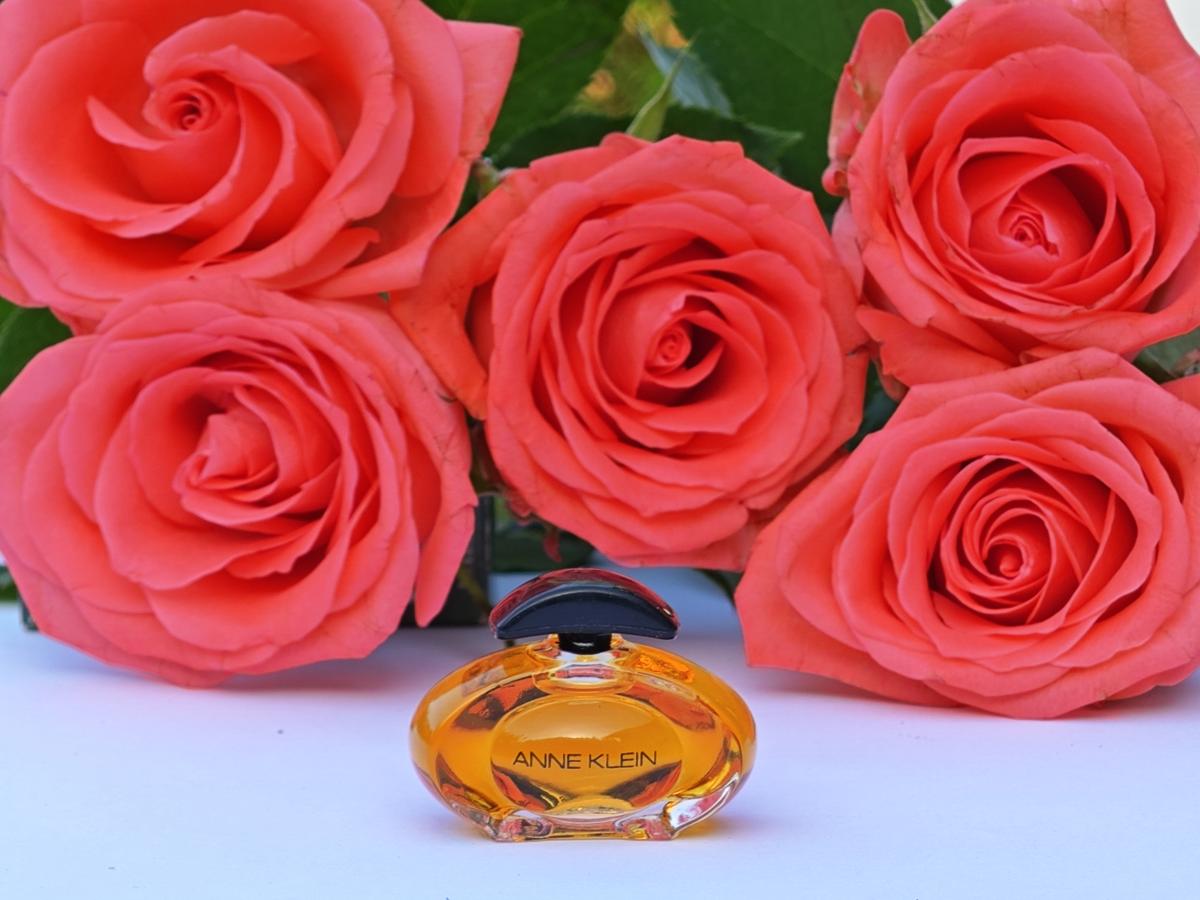 تصویر عطر آن کلاین ۲