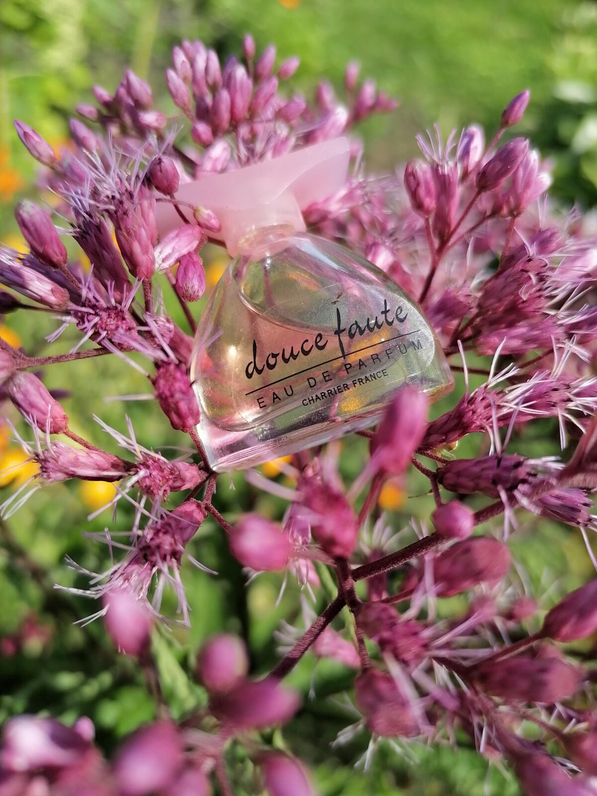 تصویر عطر دوس فوت شاریه پرفیومز