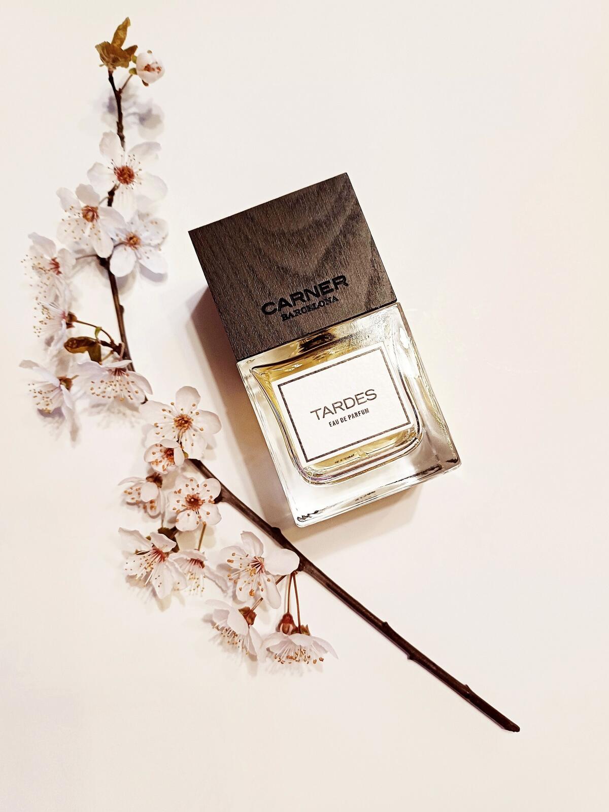 تصویر عطر تاردس کارنر بارسلونا