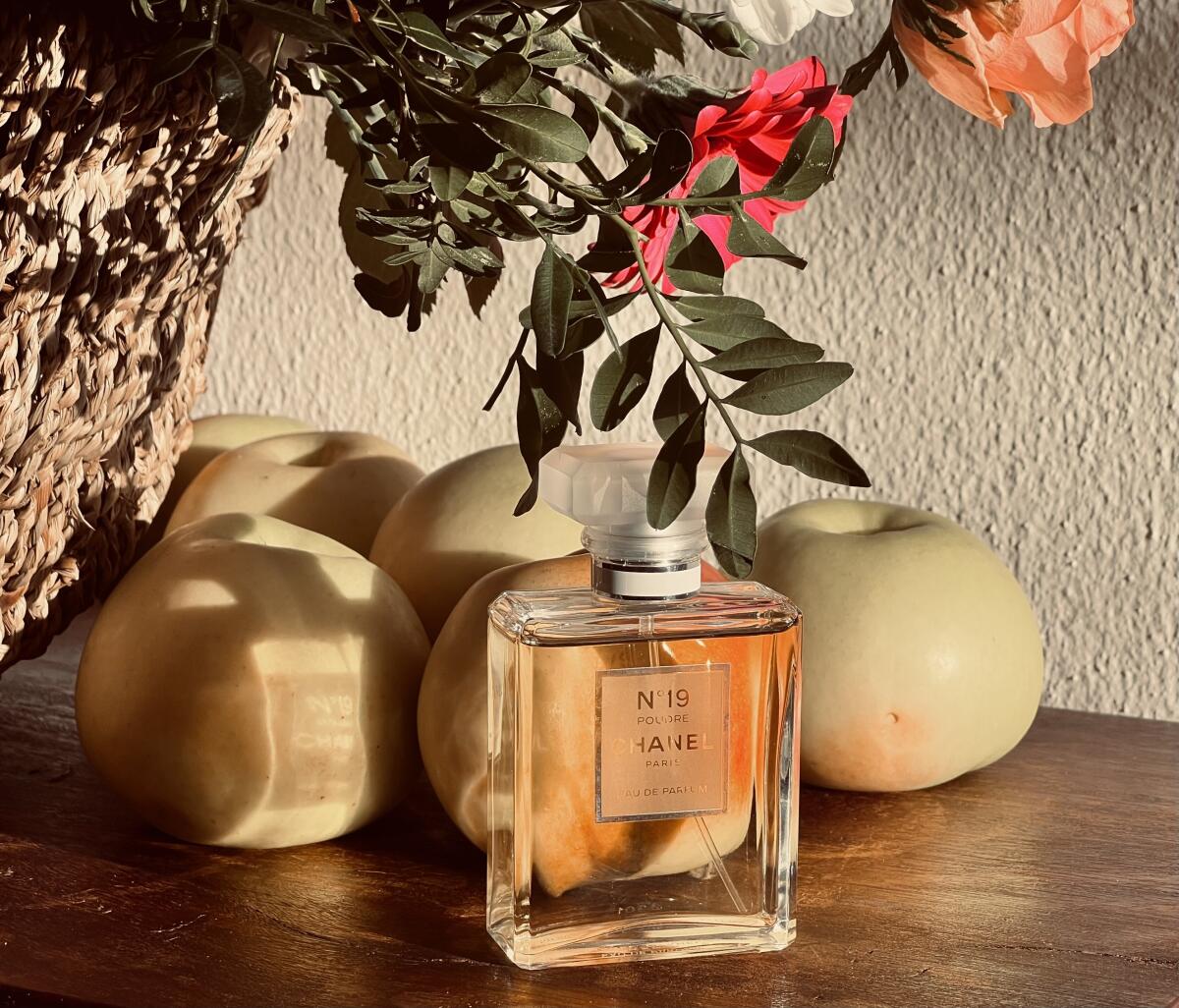 تصویر عطر شانل نامبر نوزده پودره شنل