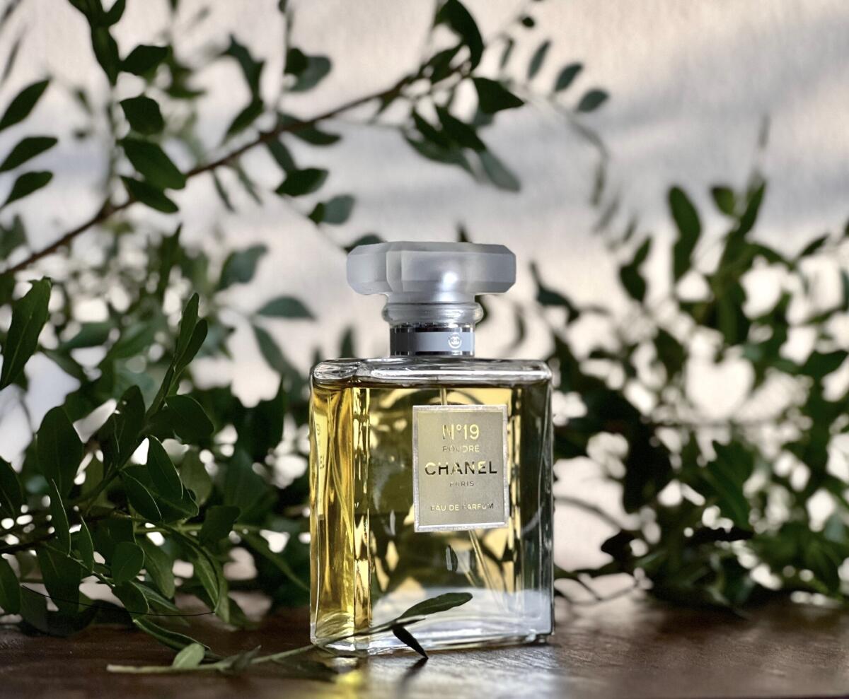 تصویر عطر شانل نامبر نوزده پودره شنل