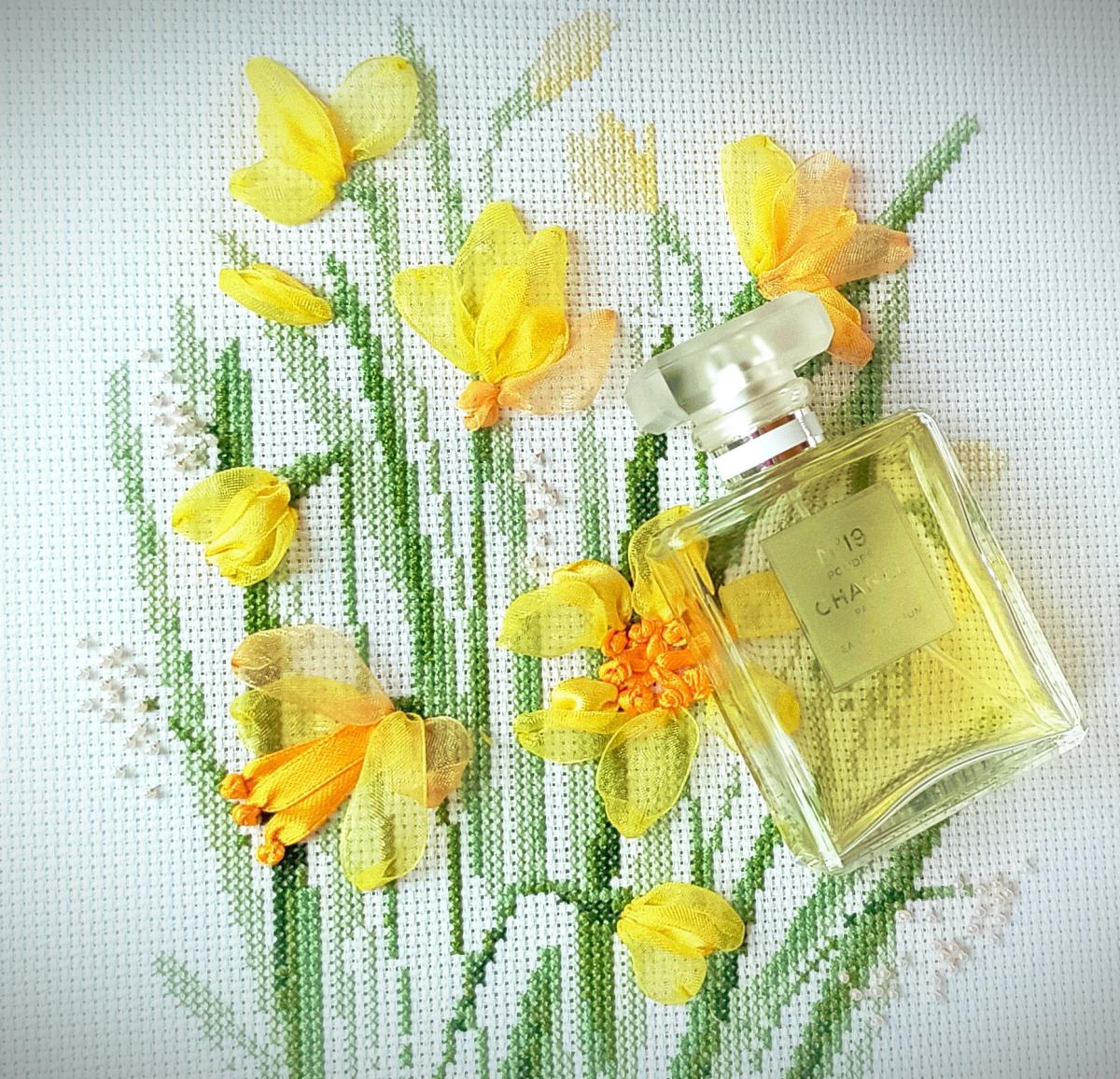 تصویر عطر شانل نامبر نوزده پودره شنل