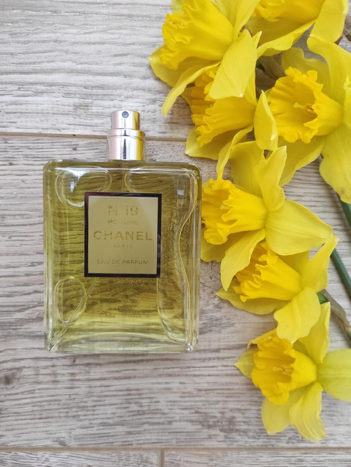 تصویر عطر شانل نامبر نوزده پودره شنل