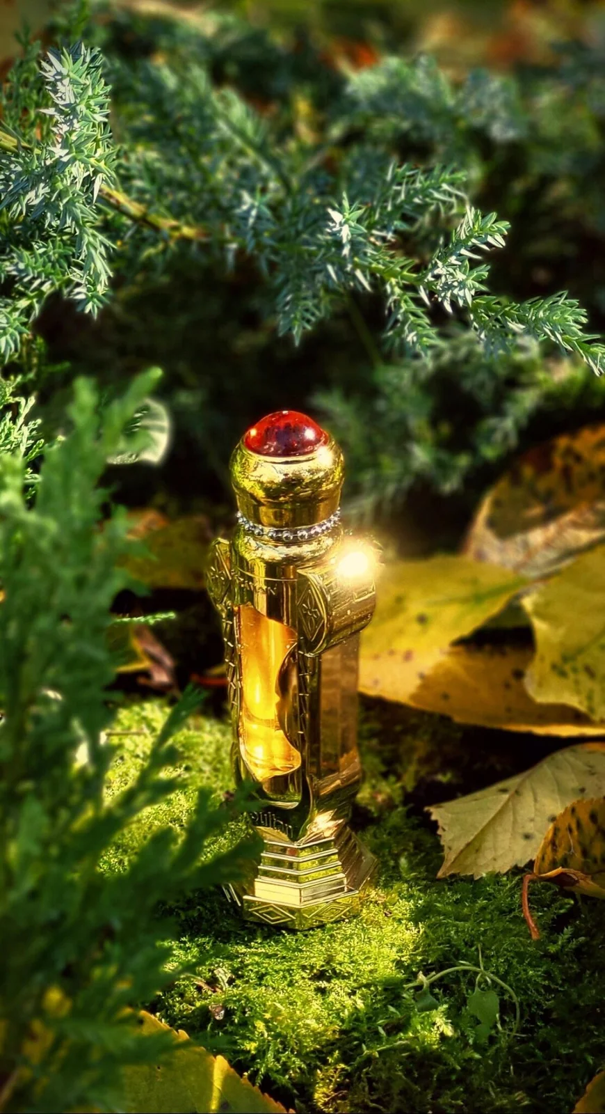 تصویر عطر سلطان عطرهای الحرمین