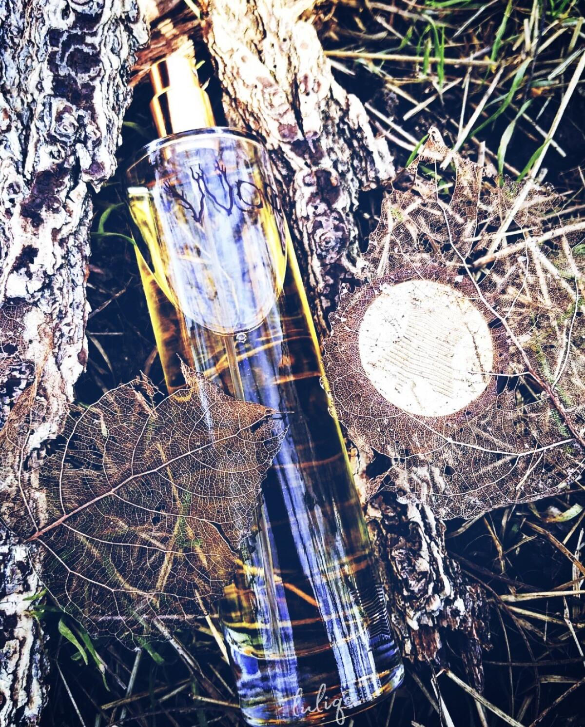 تصویر عطر وودی عربین عود