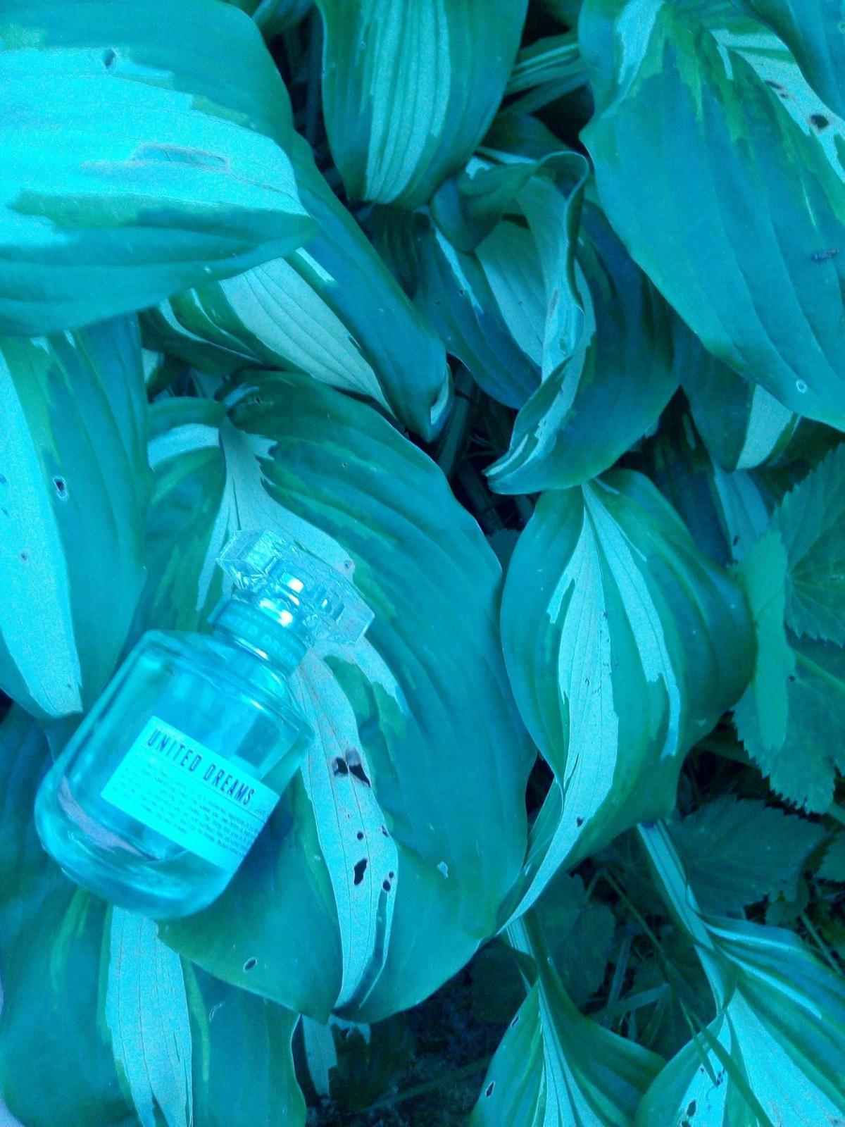 تصویر عطر یونایتد دریمز لیو فری بنتون
